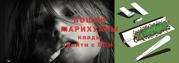 шишки Лихославль