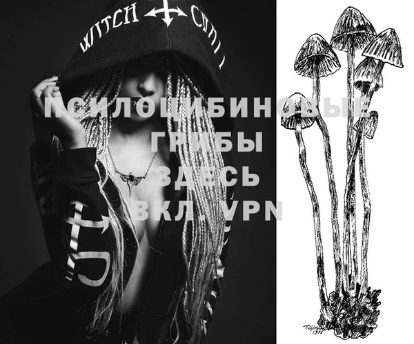 шишки Лихославль