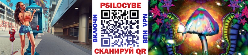 Купить  Мичуринск  Галлюциногенные грибы ЛСД 