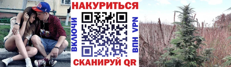 Каннабис THC 21% Купить Мичуринск